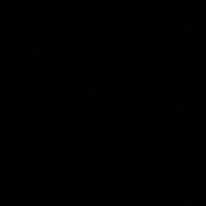 Meet your Posher, Jackson